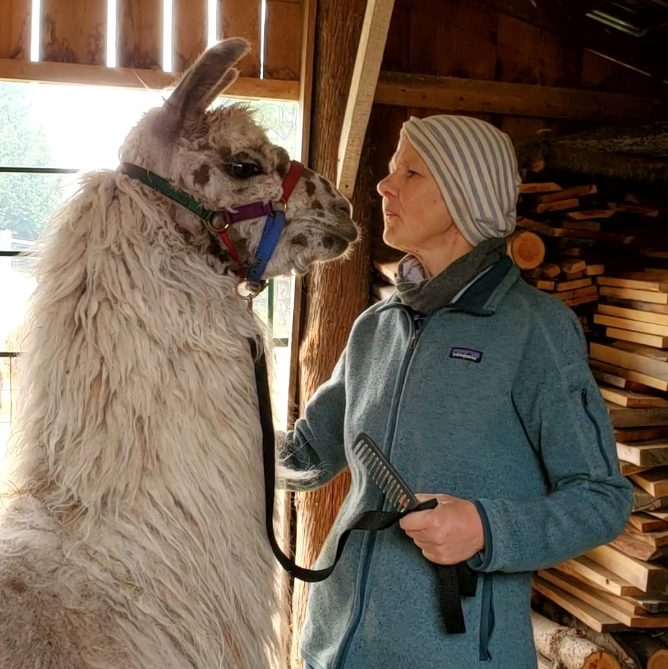 Jacky with Llama