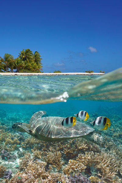 ocean image
